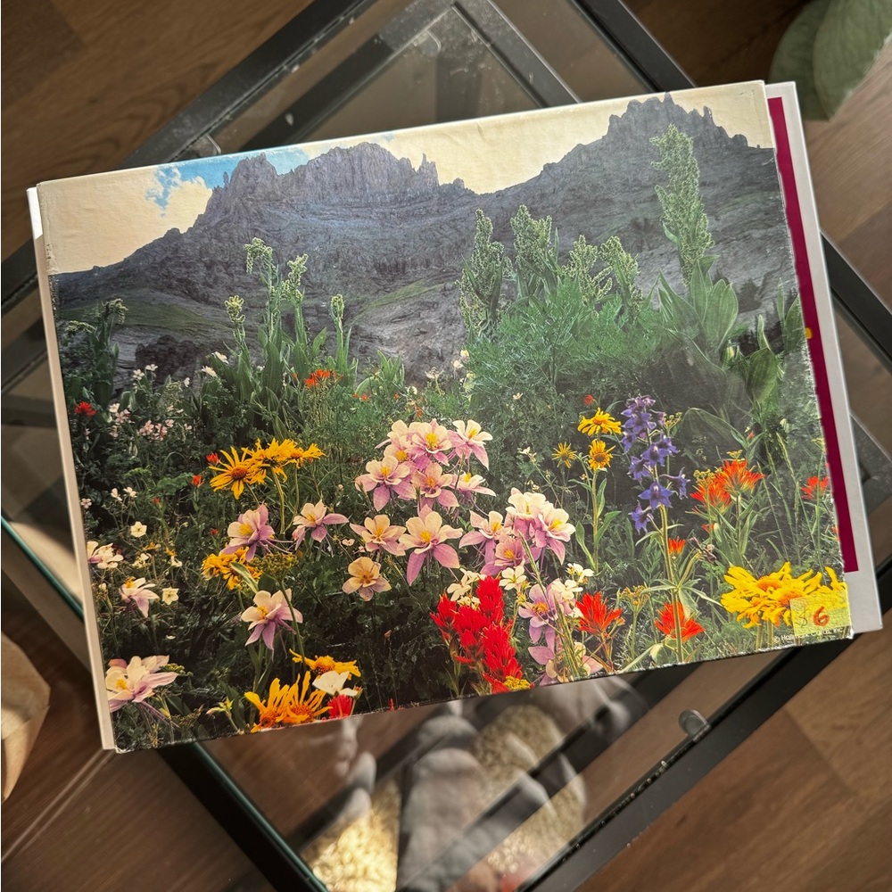 SpringBok Wildflower Valley 500pc Puzzle
